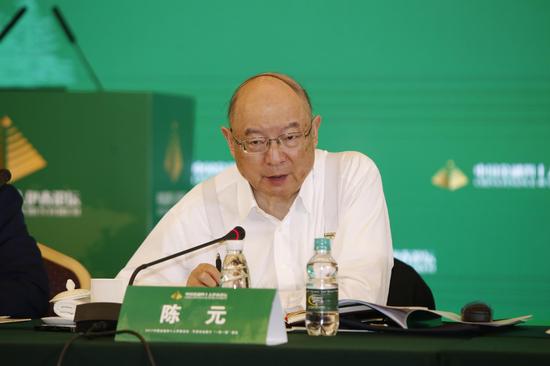 中国全国政协副主席陈元：应给符合国家安全战略的企业融资支持